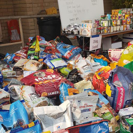 Wilton Fire Protection District Emergency Community Support